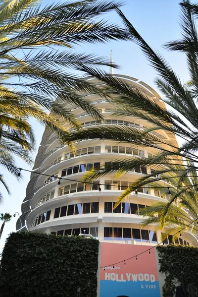 DSC_6952 (Large).JPG